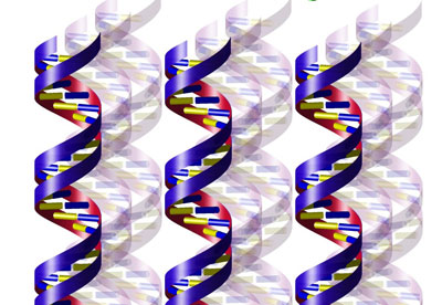 Diagram showing how DNA is used to create spin-polarized electrons