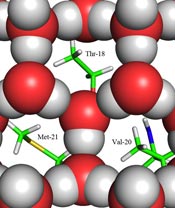 Diagram showing how the barbs capture ice crystals