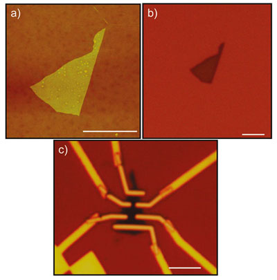 Micrographs of bismuth-selenide samples