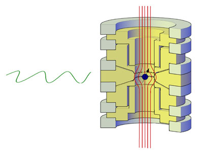 Experimental assembly
