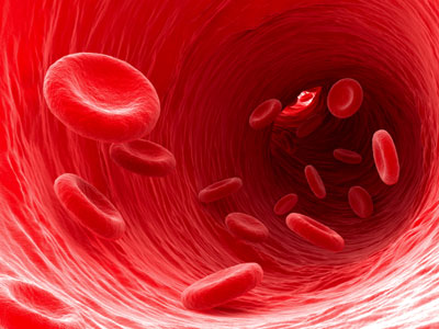 Artist&rsquo;s impression of red blood cells flowing through a blood vessel