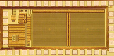 The micro-camera pixel array