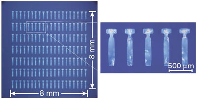 Micrographs of an array of single-crystal thin-films.