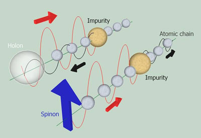 How spinons and holons react to an impurity