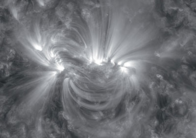 Black and white image of active region in the solar corona