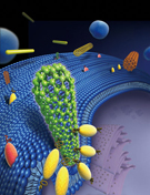An artist&rsquo;s impression of a nanotube being ingested by a living cell