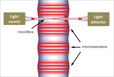 Diagram showing how light is stored by having it spiral around a bulge in an optical fibre