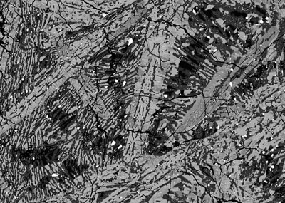 An electron-microscopy image of the meteorite ALHA81001