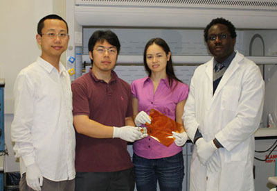 Photograph of Deji Akinwande's team at the University of Texas