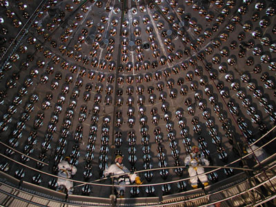 Photograph of the Borexino detector