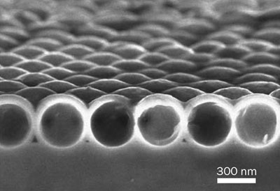 Scanning-electron-microscope image of a single layer of silicon spherical nanoshells