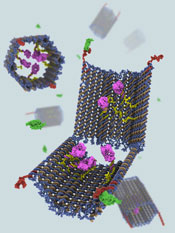 Aptamer-gated DNA robot