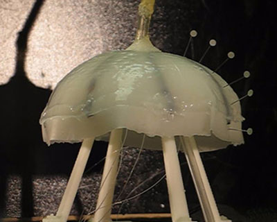 Photo of Robojelly