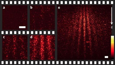 Selected frames from a real-time movie showing the build-up of quantum interference with large molecules