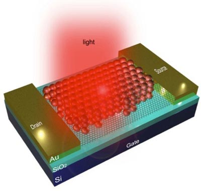 Diagram showing how quantum dots are combined with graphene to detect light