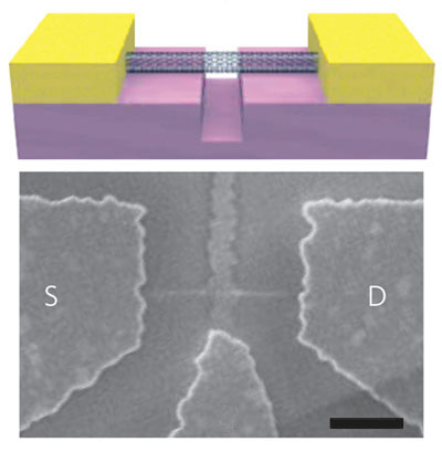 Schematic and electron-microscope image of the mass sensor