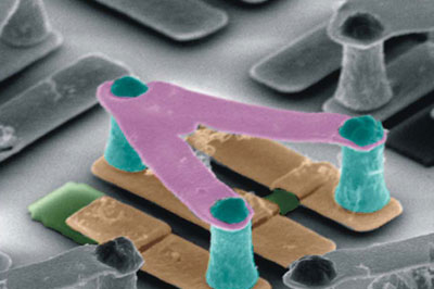 Scanning electron microscope images of a chiral terahertz metamaterial