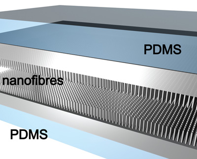 An illustration of nanohairs sensor