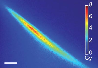 Dose distribution from a table-top proton source