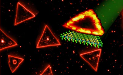 Synthesized triangular single layers of tungsten disulphide